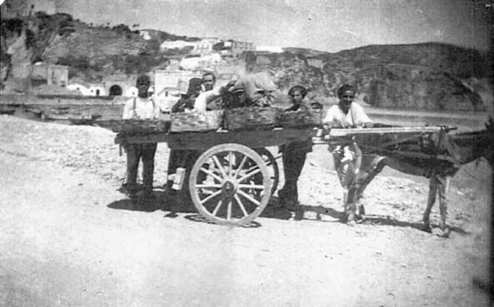 Archivio di famiglia, Ponza